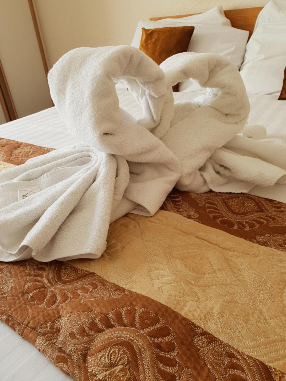 Sherwood Palm Hotel Torquay Dış mekan fotoğraf