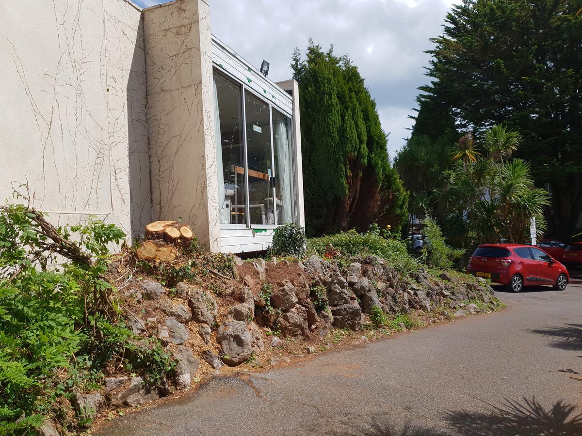 Sherwood Palm Hotel Torquay Dış mekan fotoğraf