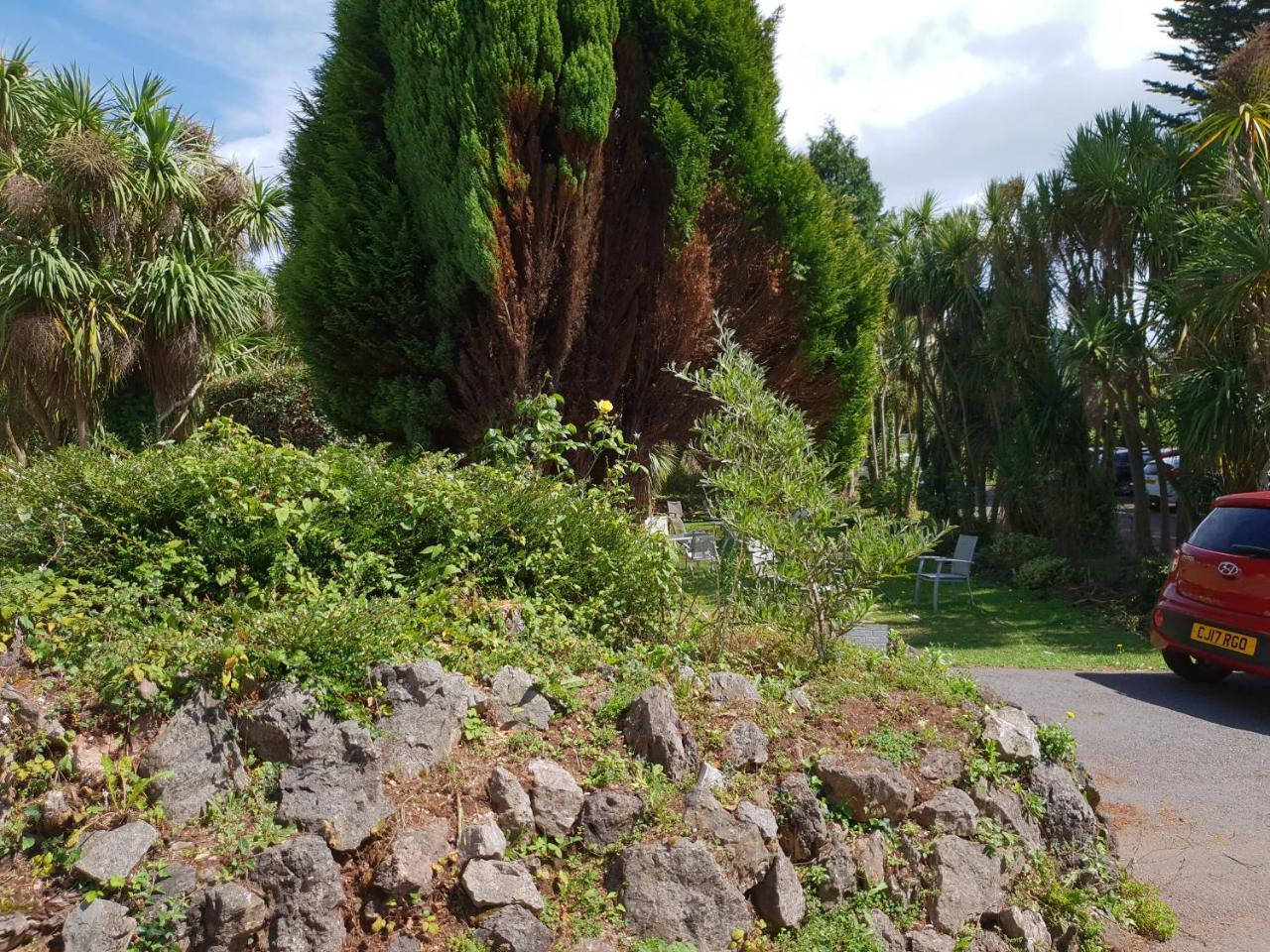 Sherwood Palm Hotel Torquay Dış mekan fotoğraf
