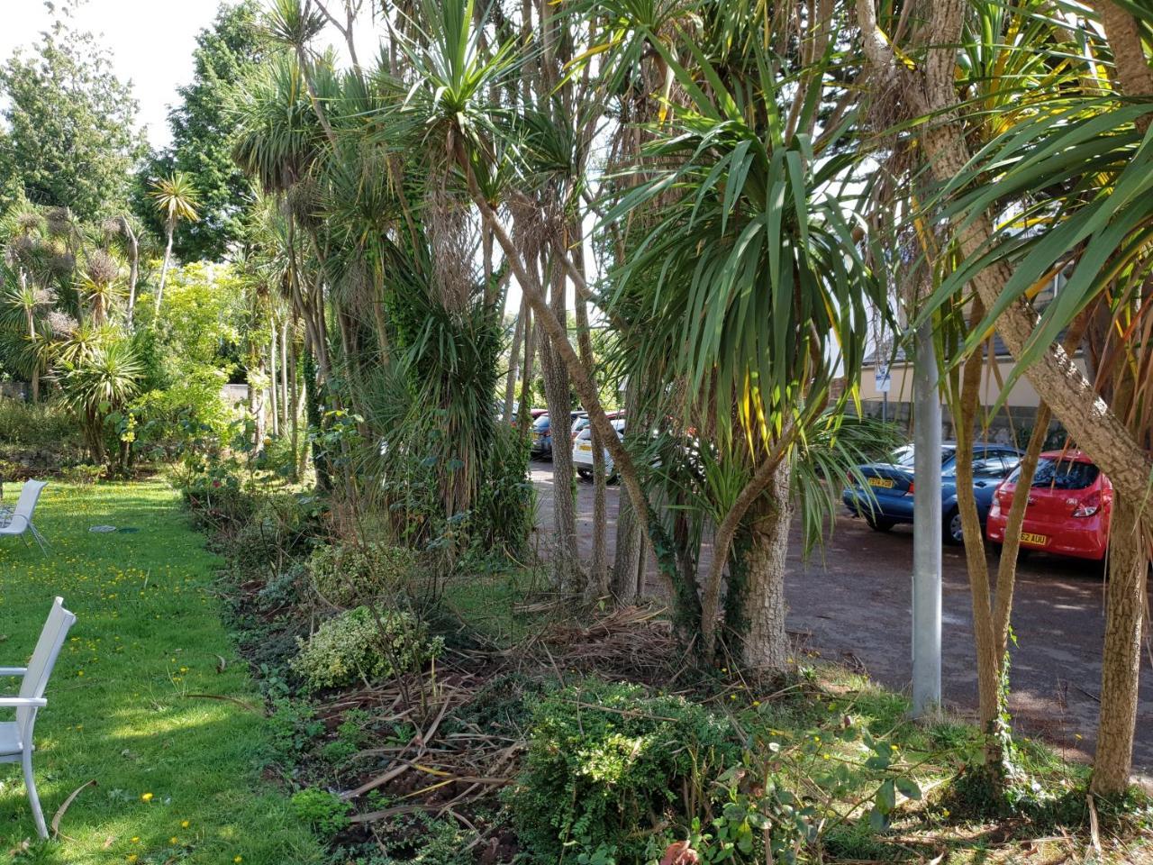 Sherwood Palm Hotel Torquay Dış mekan fotoğraf